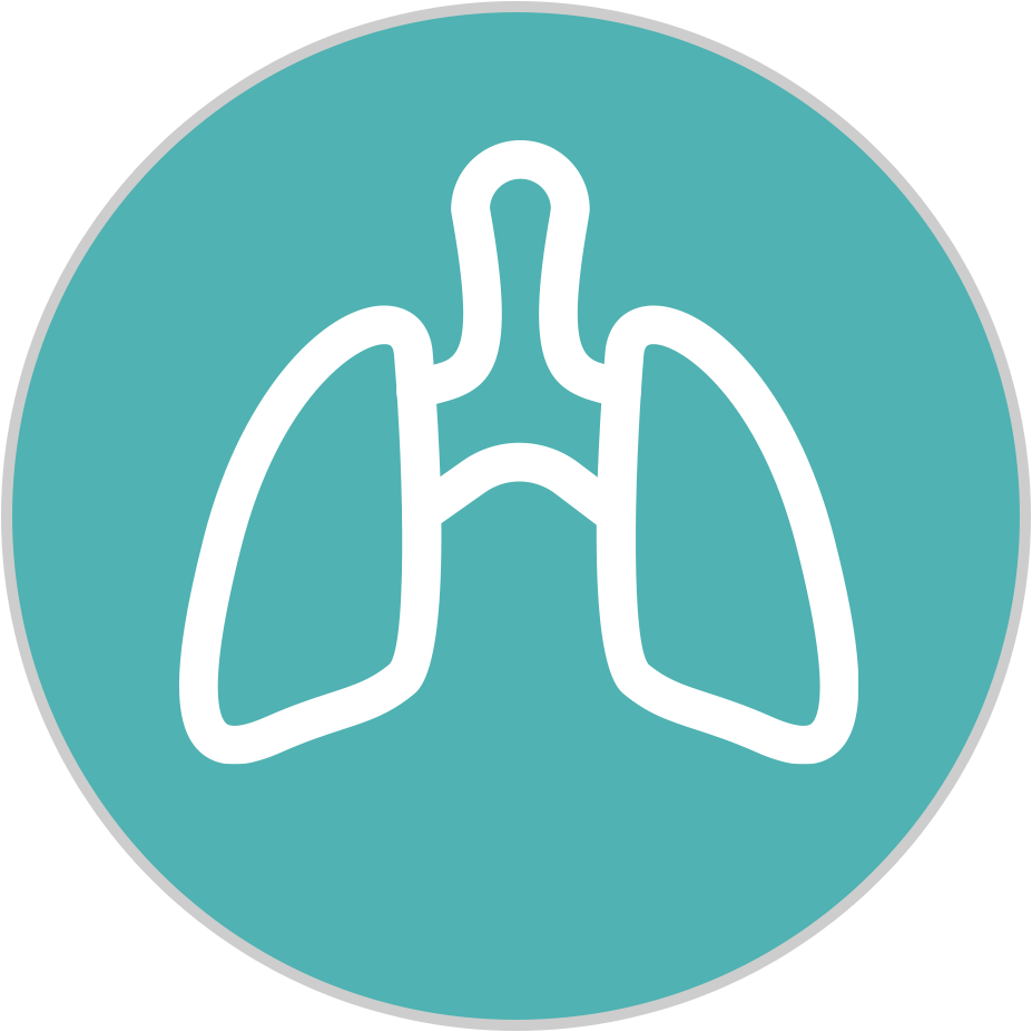 Ablação Renal e Pulmonar
