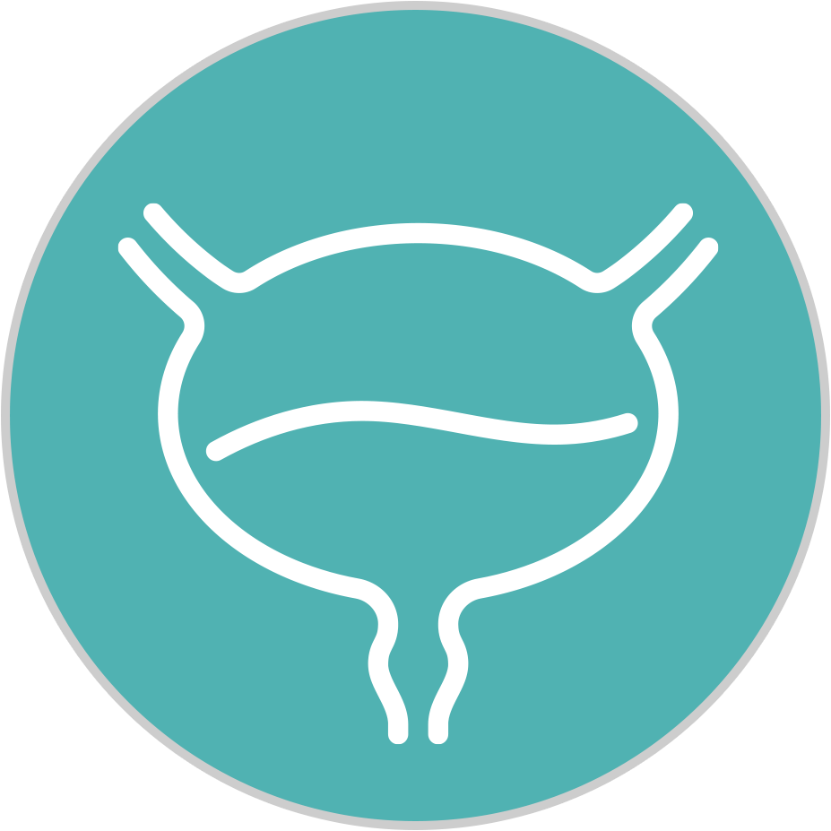 Embolização Prostática/Miomas